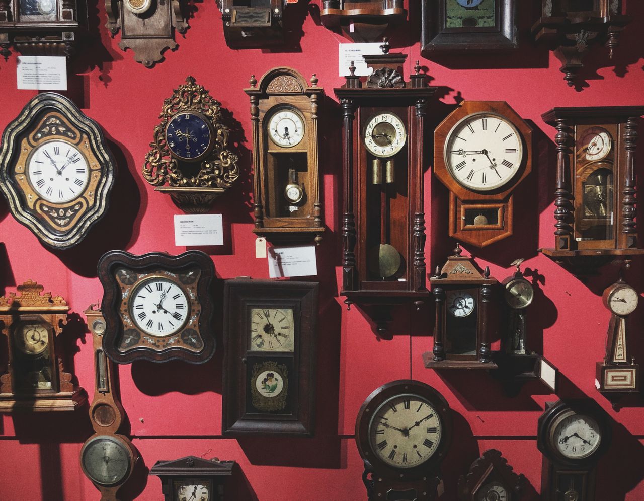 Different vintage wall clocks with arrows and Roman numerals hanging on red wall in antiquarian shop